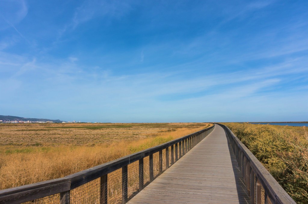 Estuario Do Tejo